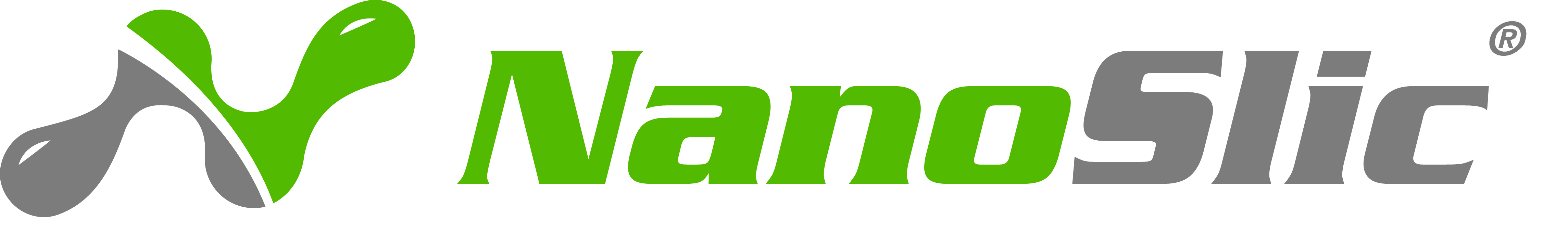 NanoSlic Logo